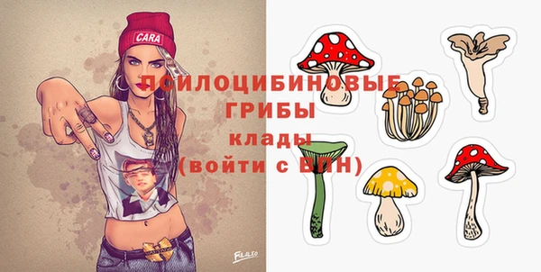 тгк Надым
