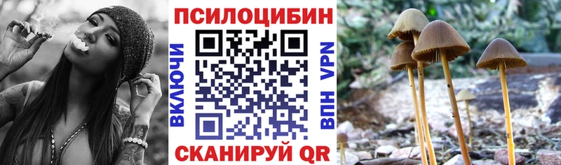 omg ONION  Реутов  Галлюциногенные грибы мухоморы 